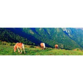 Tableau sur toile chevaux gavarnie 30x97 cm - Fabriqué en France