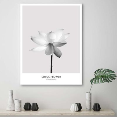 Tableau sur toile, Fleur de lotus blanche nature 60x90 cm