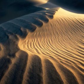 Tableau sur toile grande dune 65x65 cm - Fabriqué en France