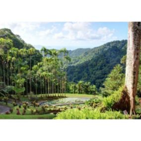 Tableau sur toile jardin de balata martinique 45x65 cm - Fabriqué en France