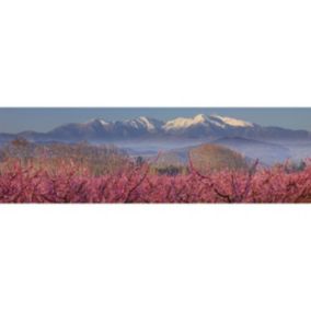 Tableau sur toile le canigou eneigé 30x97 cm - Fabriqué en France