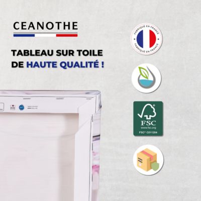 Tableau sur toile paon humain 30x30 cm Fabriqué en France