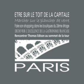 Tableau sur toile paris tour eiffel gris 30x30 cm - Fabriqué en France