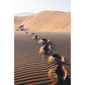 Tableau sur toile pas sur dunes 30x45 cm - Fabriqué en France