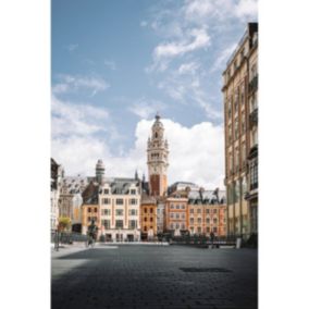 Tableau sur toile place du général de gaulle lille 45x65 cm - Fabriqué en France