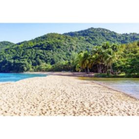 Tableau sur toile plage grande anse guadeloupe 65x97 cm - Fabriqué en France