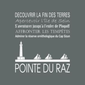 Tableau sur toile pointe du raz cendre 30x30 cm - Fabriqué en France