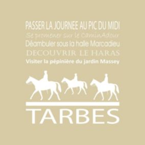 Tableau sur toile tarbes beige 30x30 cm - Fabriqué en France