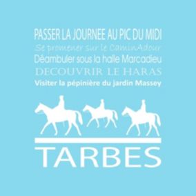 Tableau sur toile tarbes bleu clair 30x30 cm - Fabriqué en France