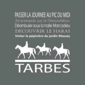 Tableau sur toile tarbes gris 30x30 cm - Fabriqué en France