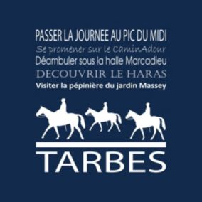 Tableau sur toile tarbes navy 30x30 cm - Fabriqué en France