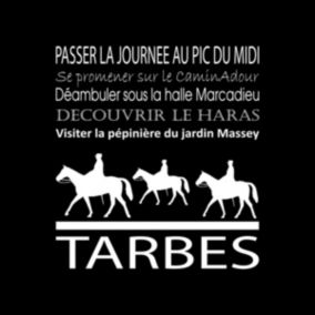 Tableau sur toile tarbes noir 30x30 cm - Fabriqué en France