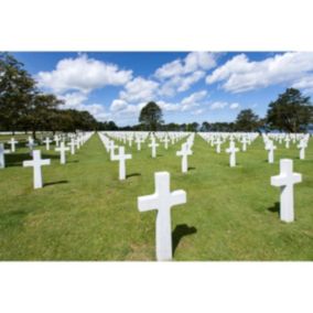 Tableau sur toile tombes cimetière us 65x97 cm - Fabriqué en France