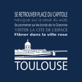 Tableau sur toile toulouse navy 30x30 cm - Fabriqué en France