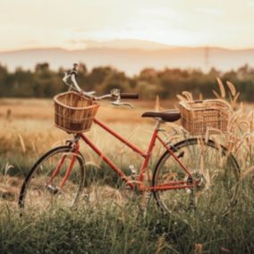 Tableau sur toile vélo dans les blés 65x65 cm - Fabriqué en France