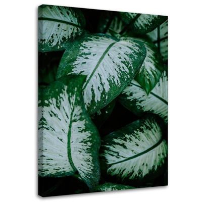Tableau sur toile, Vert Feuille Nature Plante 70x100 cm
