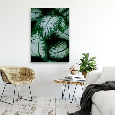 Tableau sur toile, Vert Feuille Nature Plante 70x100 cm