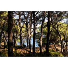 Tableau sur verre calanques forêt de pins 45x65 cm - Fabriqué en France