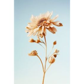 Tableau sur verre fleur 30x45 cm - Fabriqué en France