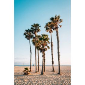 Tableau sur verre palm trees 45x65 cm - Fabriqué en France