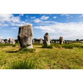 Tableau sur verre synthétique menhirs de carnac 65x97 cm - Fabriqué en France