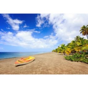 Tableau sur verre synthétique plage anse macabou martinique 65x97 cm - Fabriqué en France