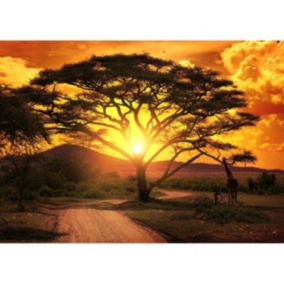 Tableau sur verre synthétique savane au coucher du soleil 65x97 cm - Fabriqué en France