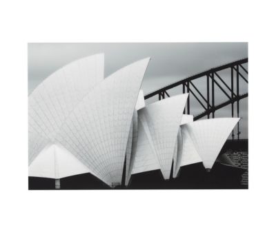 Tableau sur verre synthétique Sydney opéra Ceanothe L.97 x l.65 cm