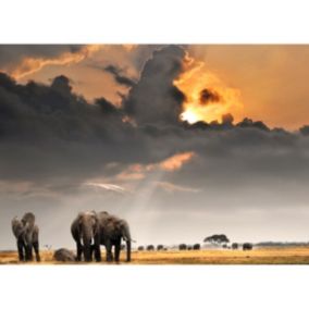 Tableau sur verre troupeau d'éléphants 45x65 cm - Fabriqué en France