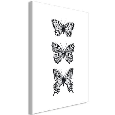 Tableau Three Butterflies 1 Pièce Vertical 40x60 cm
