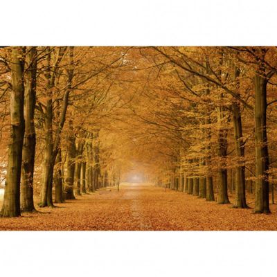 Tableau toile XXL en kit Allee Cavaliere 60 x 40 cm - Toile textile sans PVC