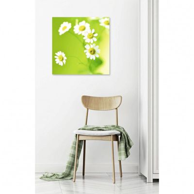Tableau toile XXL en kit Paquerettes Vertes 60 x 60 cm - Toile textile ...