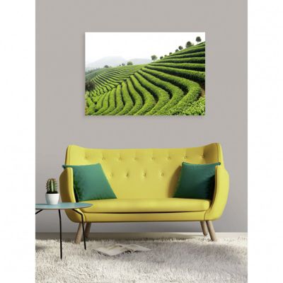 Tableau toile XXL en kit Thé Vert 130 x 90 cm - Toile textile sans PVC
