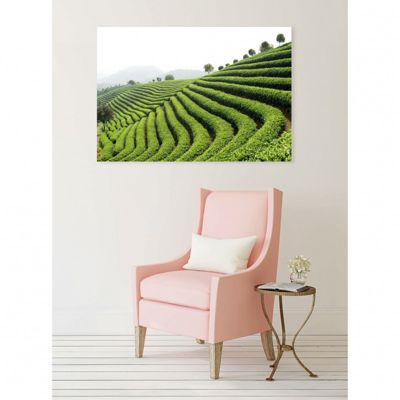 Tableau toile XXL en kit Thé Vert 130 x 90 cm - Toile textile sans PVC