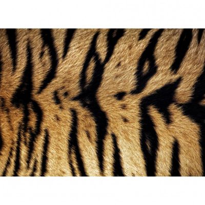 Tableau toile XXL en kit Tigre Du Bengale 180 x 130 cm - Toile textile sans PVC