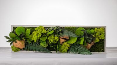 Tableau végétal stabilisé panoramique