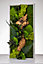 Tableau végétal stabilisé rectangle 27 x 57 cm