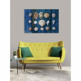 Tableau verre acrylique Collection De Coquillages 130 x 90 cm - Décoration murale photo pour la maison