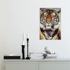 Tableau verre acrylique Tigre 40 x 60 cm - Décoration murale photo pour la maison