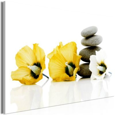 Tableau Zen Calm Mallow (1 Part) Wide Yellow 90x60 cm
