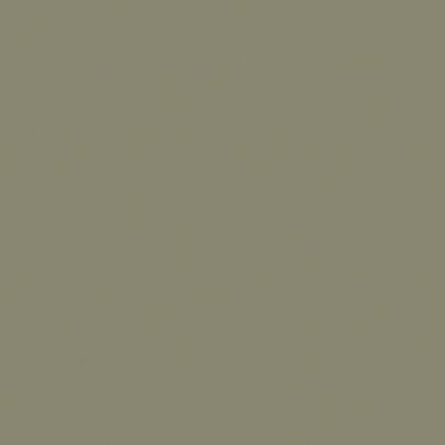 Tablette murale GoodHome Rigga vert L. 60 cm