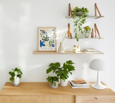 Tablette murale GoodHome Rigga vert L. 60 cm