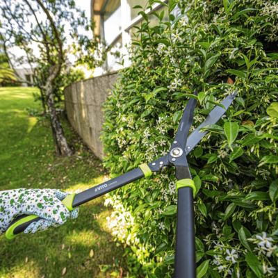 Taille haie Cisaille de jardin Lame Acier Carbone 27,5 Cm Manche Aluminium VITO