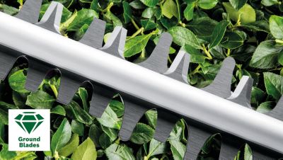 Taille-haie électrique filaire Bosch UniversalHedgeCut 60 480W