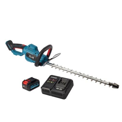 Taillehaie sans fil sur batterie 18V Erbauer 55 cm (avec 1 batterie et — free download