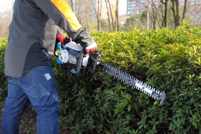 Macallister petrol hedge trimmer online