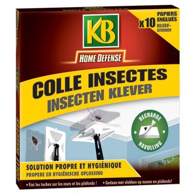 Tapette colle insectes KB