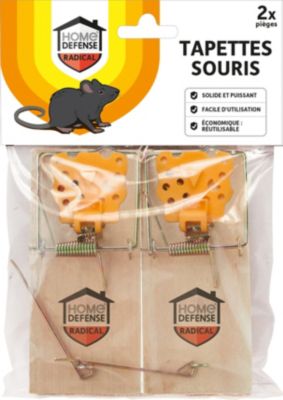 Piege A Souris Castorama