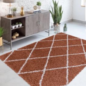 Tapis berbère 120x170 tissé motif losange SHAGGY A terra