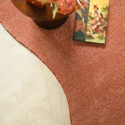 Tapis contemporain de forme organique - Influence - Rose corail - 200 x 300 cm